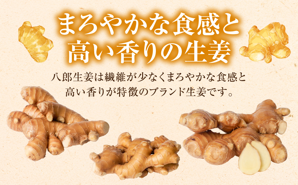 八郎生姜 2kg しょうが ショウガ ガリ ジンジャー 野菜 食品 薬味 生姜焼き しょうが焼き 温活 冷え性 対策 熊本県 八代市 東陽町 産地直送 国産
