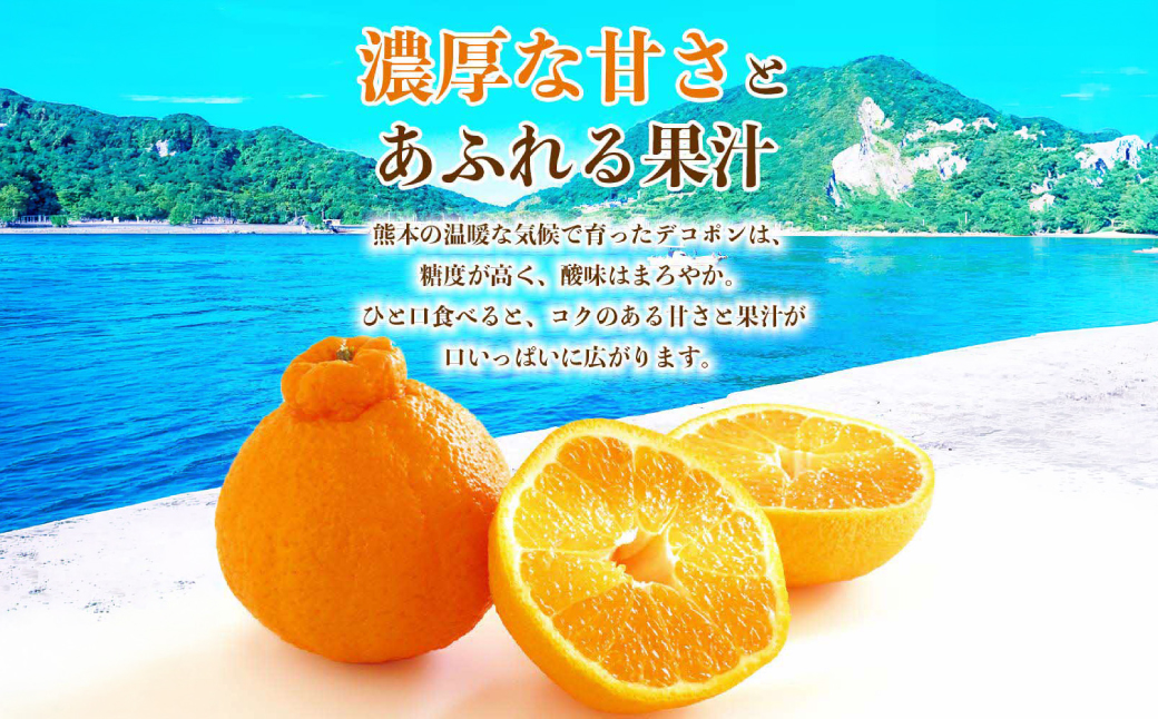 【先行予約】 デコポン 約2kg (5～9玉) でこぽん 不知火 みかん 蜜柑 柑橘 果物 フルーツ 旬 熊本県 八代市【2026年12月上旬より順次発送】