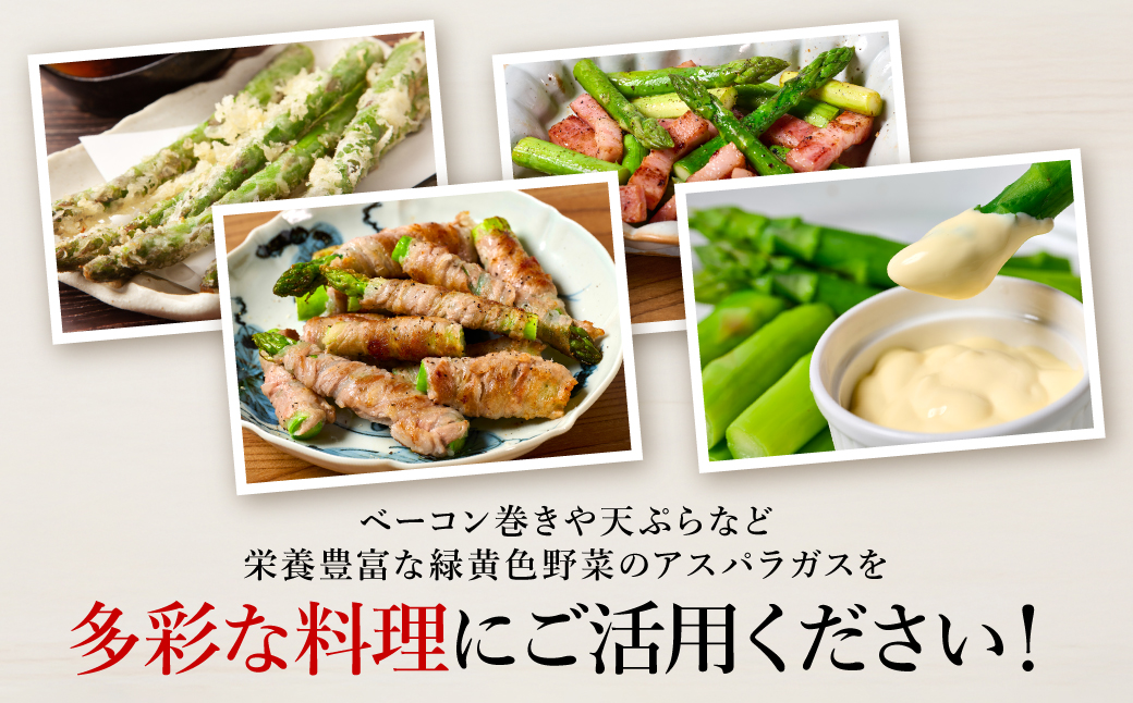 熊本県 八代市産 アスパラガス 2kg 新鮮 アスパラ 野菜 やさい 旬