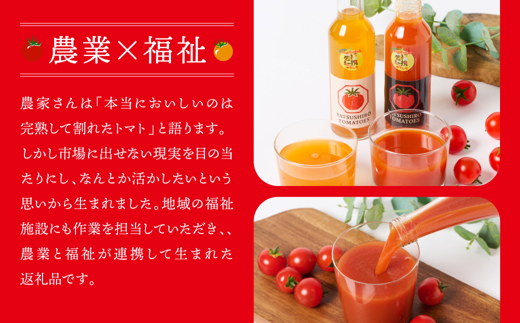 八代産完熟ミニとまとジュース 180ml（赤・白） 2本セット トマト ミニトマト 完熟 ジュース 飲料 野菜 熊本県 八代市