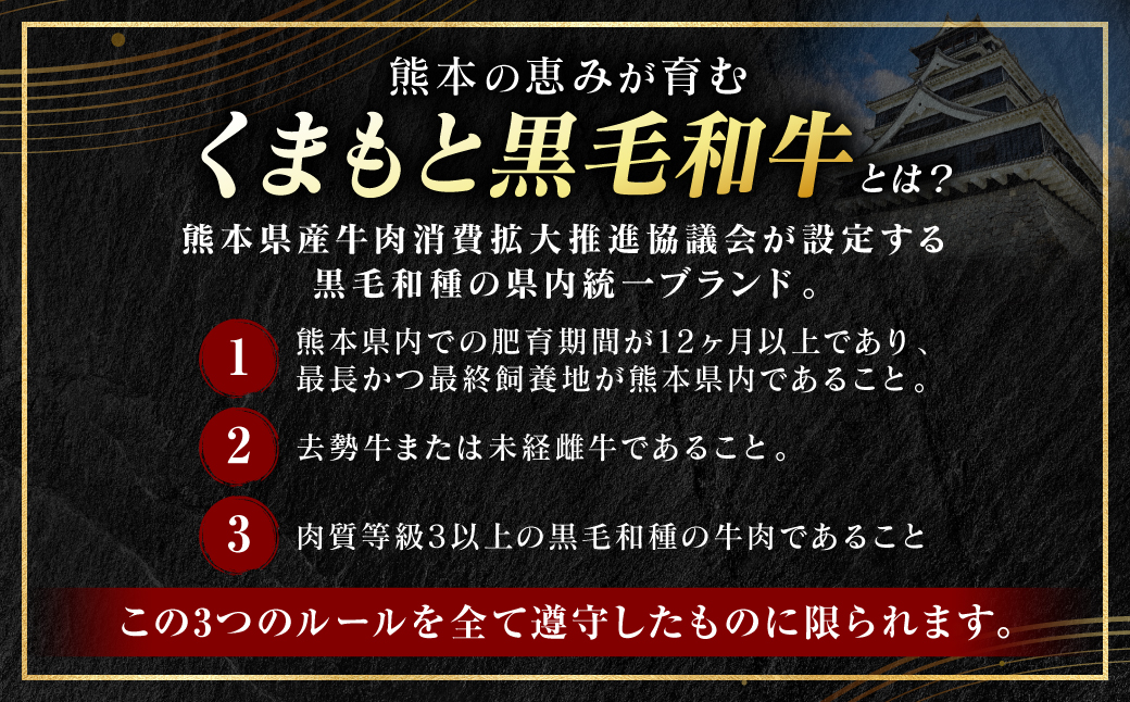【訳あり】 【A4～A5ランク】 くまもと黒毛和牛 ヒレ ステーキ 100g （100g×1枚） フィレ ヒレステーキ フィレステーキ 和牛ステーキ 牛肉 お肉 黒毛和牛 冷凍 小分け 焼肉 BBQ おかず 熊本県 八代市