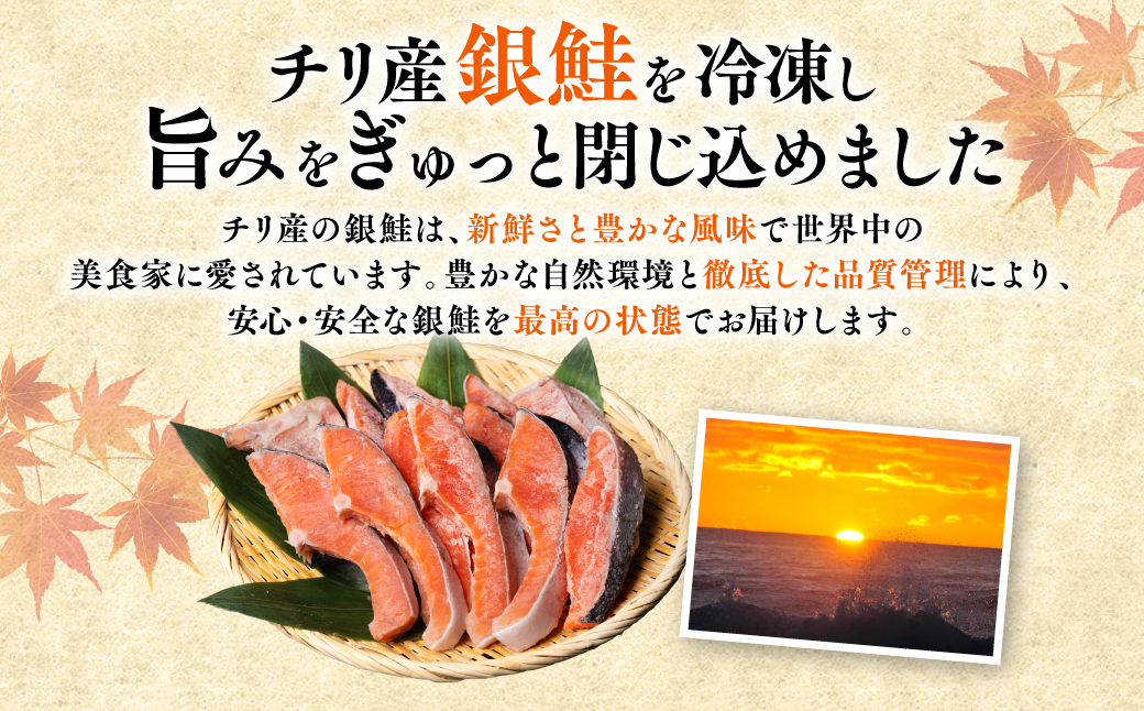 【訳あり】 銀鮭 切り身 たっぷり合計 2kg 甘塩 鮭 塩鮭 サケ 切身 切り身 大容量 人気の鮭 カマ 希少 魚