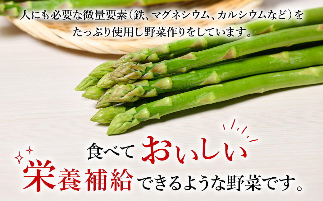 熊本県 八代市産 アスパラガス 2kg 新鮮 アスパラ 野菜 やさい 旬