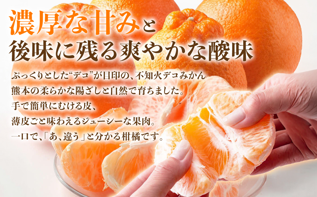 【先行予約】 【訳あり】 不知火 デコみかん 約5kg しらぬい みかん 柑橘 くだもの 果物 フルーツ 旬 熊本県 八代市 【2027年1月中旬より順次発送】