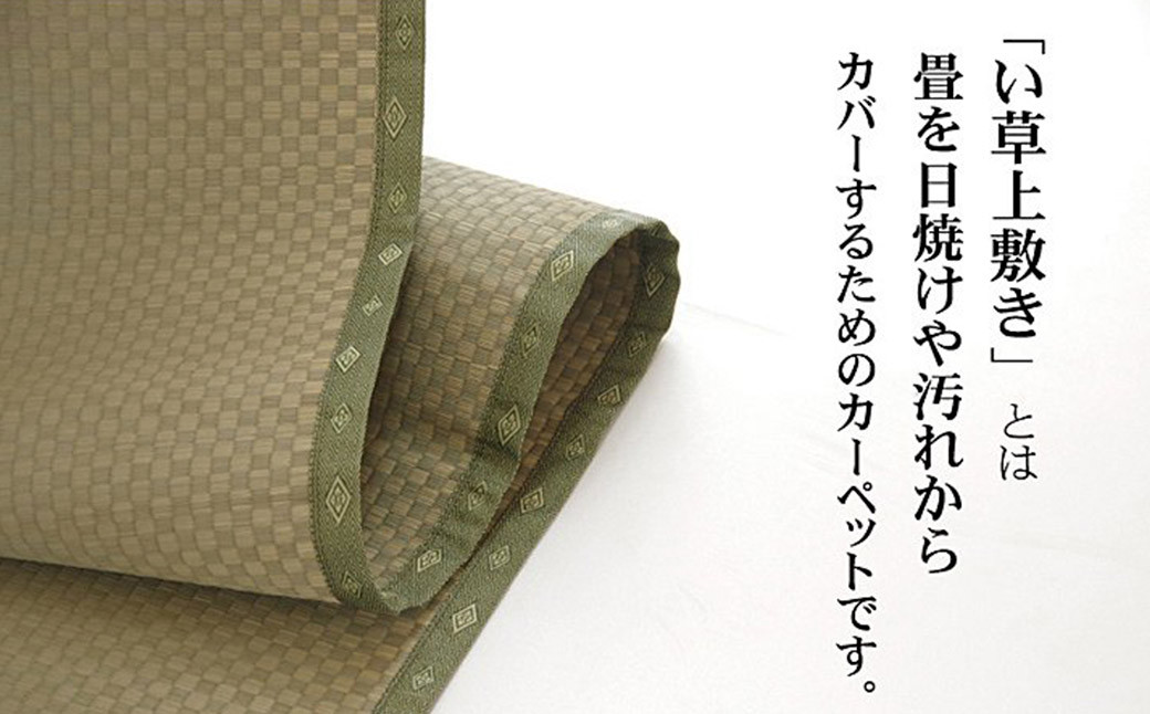 い草上敷き【不知火】江戸間6畳