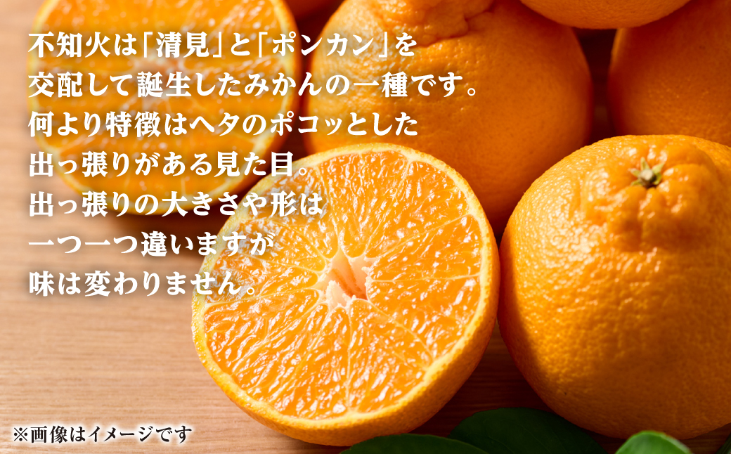 【先行予約】 不知火 約3kg しらぬい 柑橘 果物 くだもの フルーツ おやつ デザート ハウス栽培 熊本県 八代市 【2027年1月中旬より順次発送】