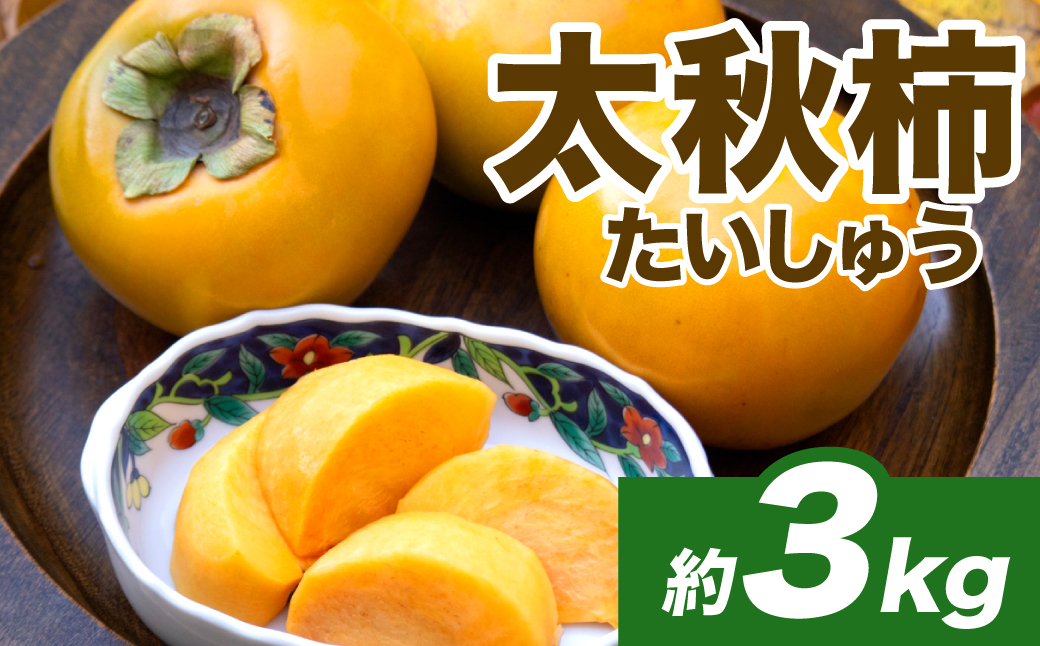 【先行予約】 太秋柿 約3kg （8～15玉） フルーツ くだもの 果物 柿 かき カキ おやつ デザート 秋の味覚 秋 旬 熊本県 八代市 【2026年10月上旬より順次発送】
