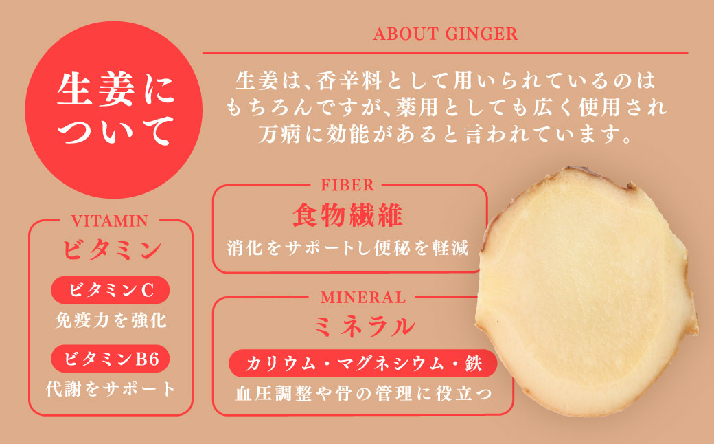 八代生姜80g×5パック 合計400g しょうが ショウガ ガリ ジンジャー 野菜 食品 薬味 生姜焼き しょうが焼き 温活 冷え性 対策 熊本県 八代市 東陽町 産地直送 国産