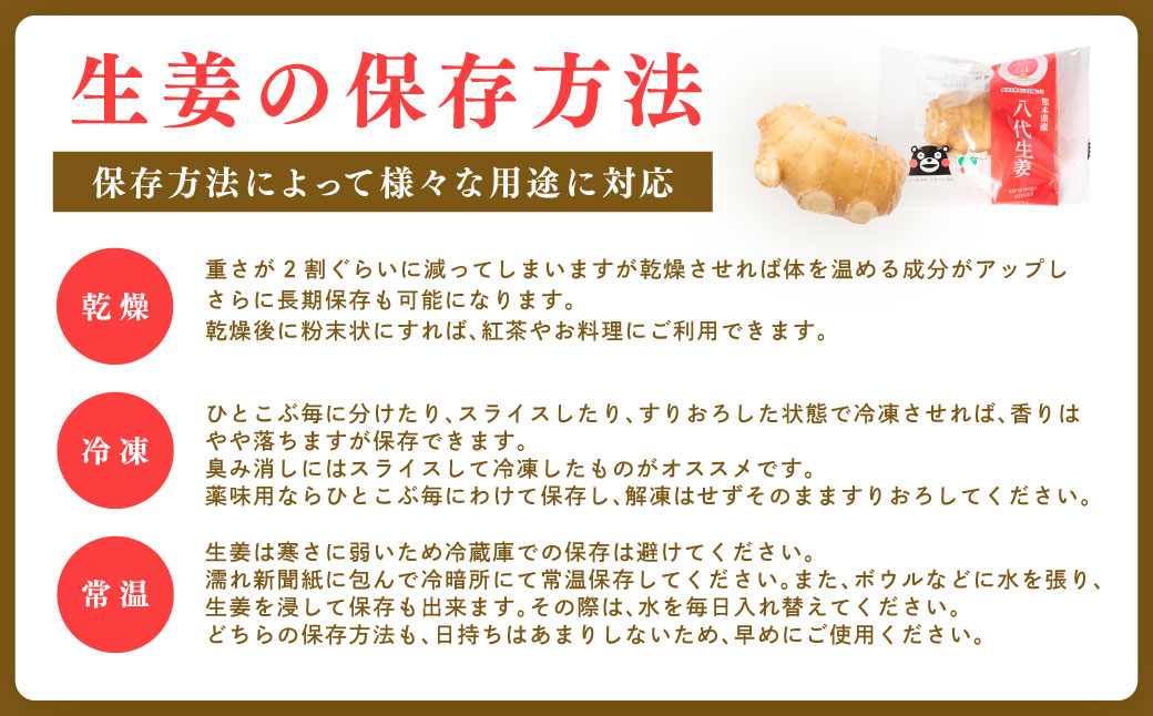 八代生姜80g×5パック 合計400g しょうが ショウガ ガリ ジンジャー 野菜 食品 薬味 生姜焼き しょうが焼き 温活 冷え性 対策 熊本県 八代市 東陽町 産地直送 国産