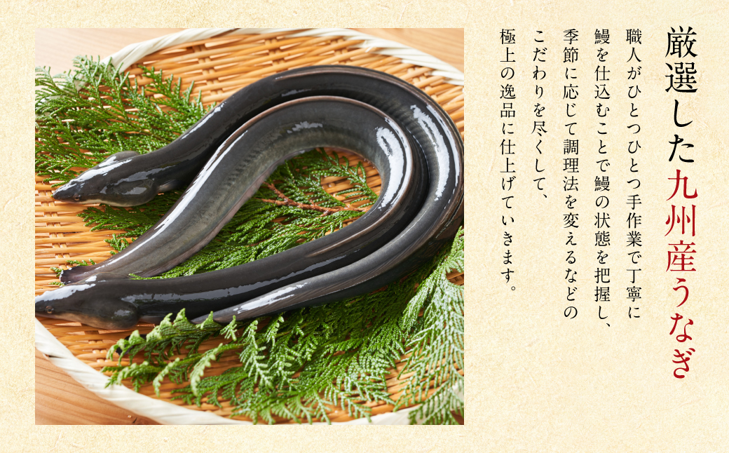 鰻さん　マルル 鰻丸(うなまる) 九州産 鰻 蒲焼き 1尾 うなぎ ウナギ 丑の日 秘伝タレ