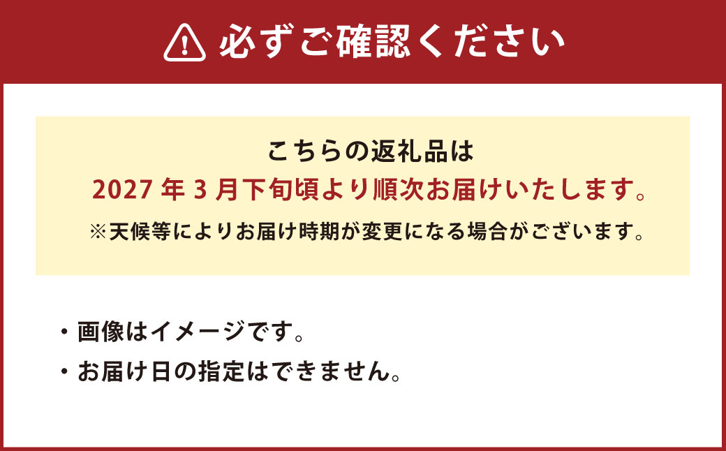 熊本産 おにつか農園 こだわり 不知火 贈答用 約3kg デコポン【2027年3月下旬発送予定】