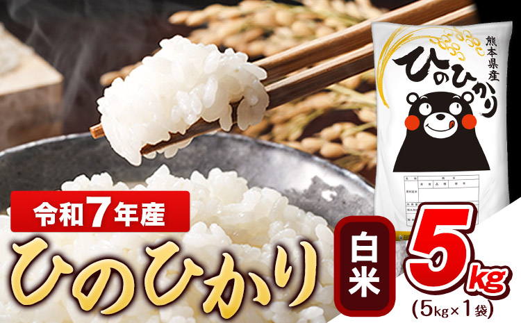 令和7年産 白米 ひのひかり 5kg《3-7日以内に出荷予定(土日祝除く)》コメ 米 白米 令和7年産 人気米 熊本県産米 お米 生活応援米