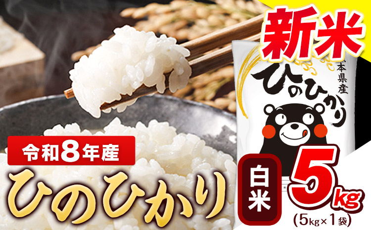 令和8年産 新米 白米 ひのひかり 5kg《11月中旬-12月末頃出荷》コメ 米 白米 令和8年産 新米 人気米 熊本県産米 お米米