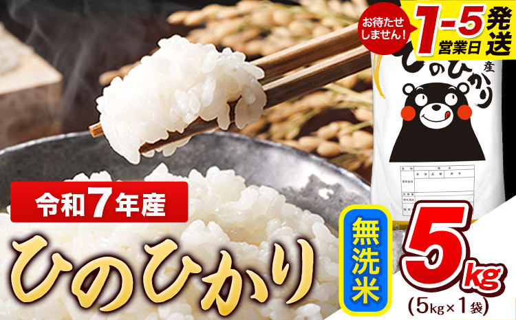 令和7年産 無洗米 ひのひかり 5kg《1-5日以内に出荷予定(土日祝除く)》コメ 米 無洗米 高レビュー｜人気米 熊本県産米 お米 生活応援米