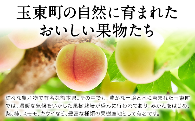 玉東町の自然に育まれたハニーローザをジャムに！【ハニーローザ】コンフィチュールセット3個 熊本県玉名郡玉東町 ぷらっとぎょくとう《60日以内に出荷予定(土日祝除く)》