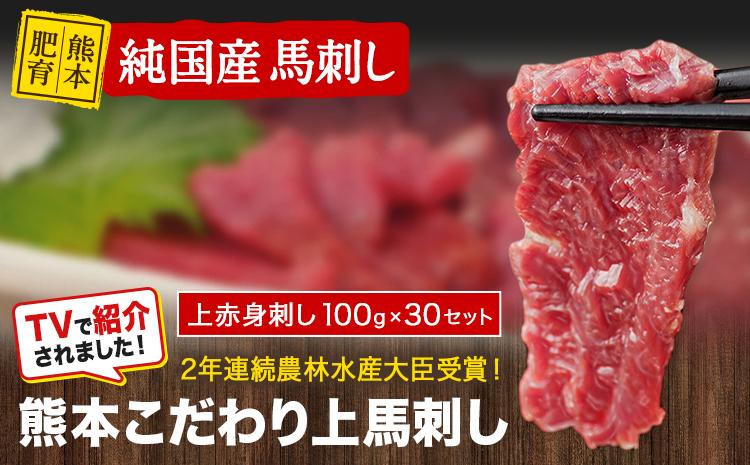上赤身馬刺し100g×30セット(10ml×30袋)《7-14日以内に出荷予定(土日祝除く)》 熊本県 玉名郡 玉東町 馬刺し 国産 赤身 送料無料 肉 タレ付き 3000g