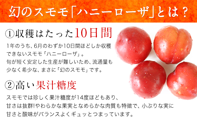 玉東町の自然に育まれたハニーローザをジャムに！【ハニーローザ】コンフィチュールセット2個 熊本県玉名郡玉東町 ぷらっとぎょくとう《60日以内に出荷予定(土日祝除く)》