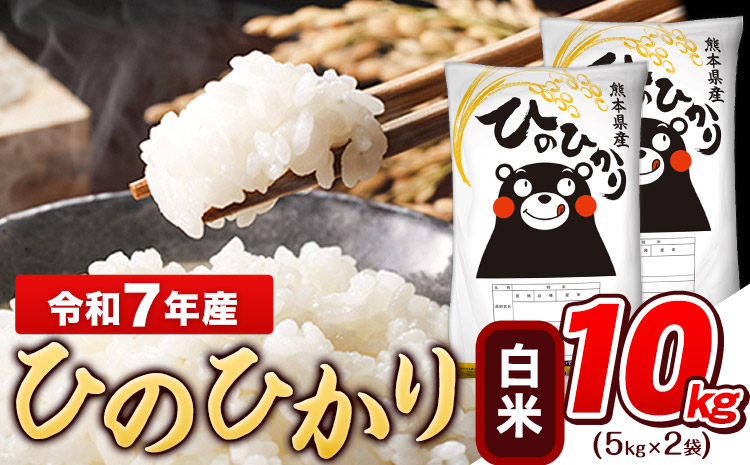 令和7年産 白米 ひのひかり 10kg《3-7日以内に出荷予定(土日祝除く)》コメ 米 白米 高レビュー｜人気米 熊本県産米 お米 生活応援米