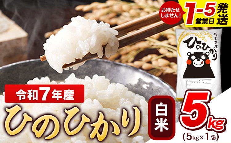 令和7年産 白米 ひのひかり 5kg《1-5日以内に出荷予定(土日祝除く)》コメ 米 白米 令和7年産 人気米 熊本県産米 お米 生活応援米