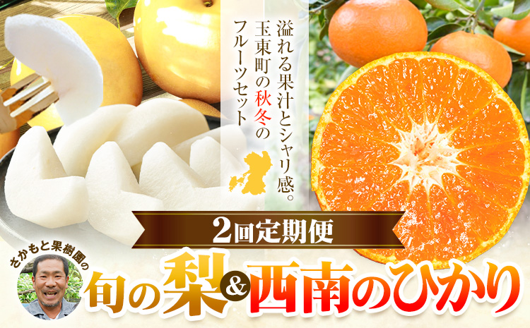 フルーツ 定期便 旬の梨 3kg 西南のひかり 5kg 2回定期便 さかもと果樹園《梨：8月中旬-10月上旬頃出荷 みかん：12月中旬-12月末頃出荷》熊本県 玉東町 梨 みかん 柑橘 果物 旬 秋 冬 先行予約 産地直送 デザート 秋冬 詰め合わせ