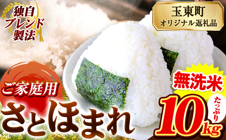 熊本県産 さとほまれ 無洗米 ご家庭用 10kg 《7-14日以内に出荷予定(土日祝除く)》熊本県 玉名郡 玉東町 米 こめ コメ ブレンド米 送料無料