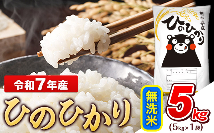 令和7年産 無洗米 ひのひかり 5kg《1-5日以内に出荷予定(土日祝除く)》コメ 米 無洗米 高レビュー｜人気米 熊本県産米 お米 生活応援米