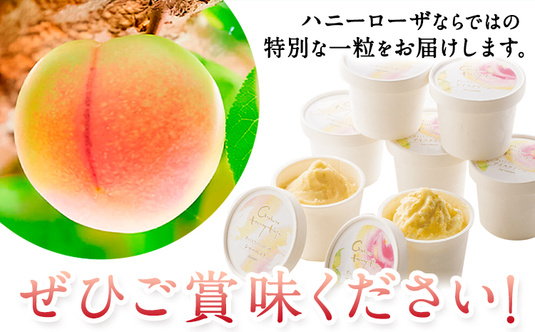 抜群の糖度と爽やかな酸味♪ハニーローザアイスクリーム＆ハニーローザシャーベット 120ml 12個 熊本県玉名郡玉東町 すもも ハニーローザ アイス ぷらっとぎょくとう《60日以内に出荷予定(土日祝除く)》