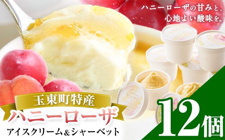 抜群の糖度と爽やかな酸味♪ハニーローザアイスクリーム＆ハニーローザシャーベット 120ml 12個 熊本県玉名郡玉東町 すもも ハニーローザ アイス ぷらっとぎょくとう《60日以内に出荷予定(土日祝除く)》