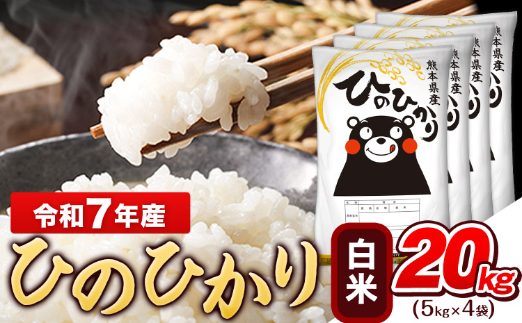 令和7年産 白米 ひのひかり 20kg《7-14日以内に出荷予定(土日祝除く)》コメ 米 白米 令和7年産 高レビュー｜人気米 熊本県産米 お米 生活応援米