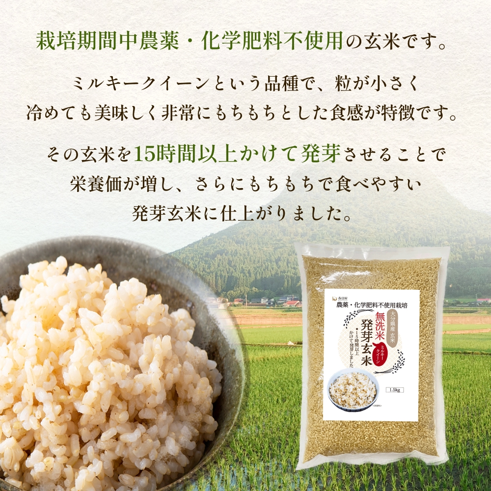 栽培期間中農薬・化学肥料不使用 発芽玄米 1.5kg×2袋(3.0kg) 大分県産 ミルキークイーン 無洗米 令和7年産