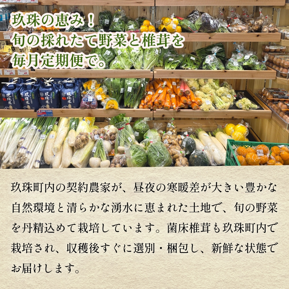 【ふるさと納税】3回定期便　玖珠の 旬野菜 ・ きのこ 6-10品 詰め合わせ  ｜ 大分県玖珠町 野菜 きのこ 旬 定期便 冷蔵 産地直送 新鮮 お取り寄せ