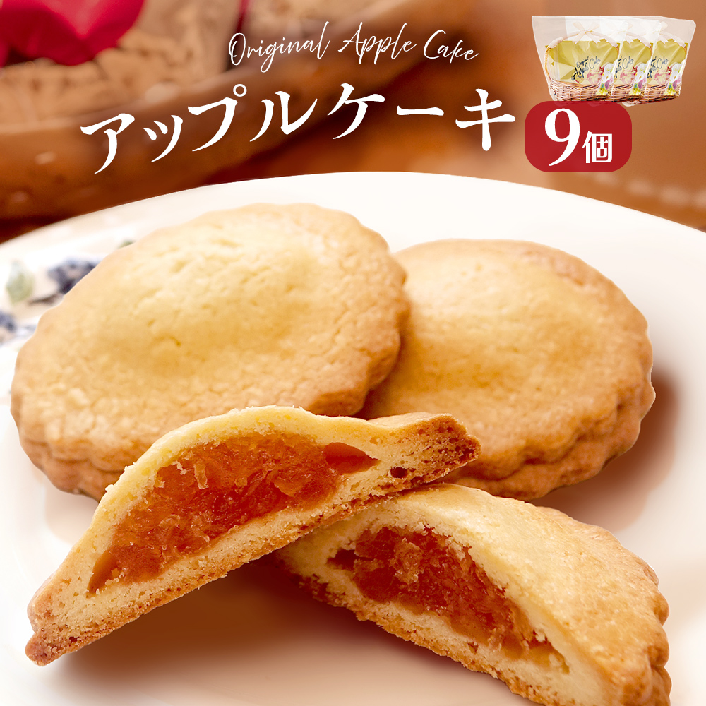 藤原吉福堂 アップルケーキ 9個 （ 3個入 × 3セット ） 大分県玖珠町 焼き菓子 アップルケーキ 洋菓子 手作り 老舗 お取り寄せ 国産 贈答 りんご ケーキ スイーツ お菓子