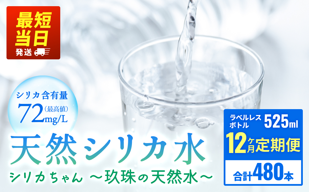 【数量限定】【12ヶ月定期便】天然水 シリカ 525ml × 40本 ＜シリカちゃん〜玖珠の天然水〜＞    水 水 500ml 500ml 天然水 天然水  ラベルレス 天然シリカ 水 シリカ水 ミネラルウォーター 国産 保存可能 水 防災 備蓄 シリカ水 シリカ水 SDGs