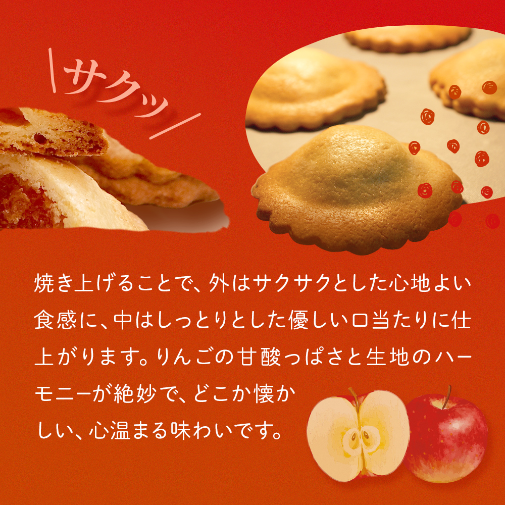 藤原吉福堂 アップルケーキ 9個 （ 3個入 × 3セット ） 大分県玖珠町 焼き菓子 アップルケーキ 洋菓子 手作り 老舗 お取り寄せ 国産 贈答 りんご ケーキ スイーツ お菓子