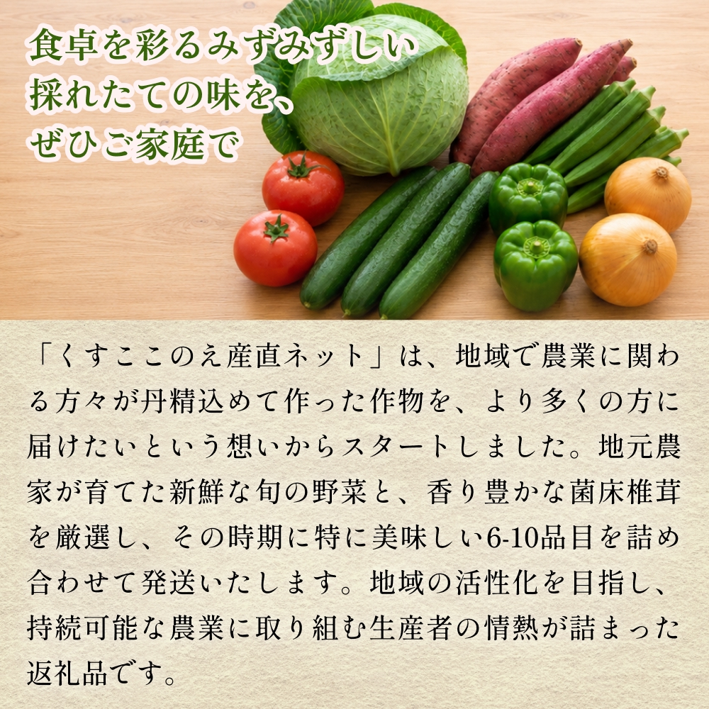 【ふるさと納税】3回定期便　玖珠の 旬野菜 ・ きのこ 6-10品 詰め合わせ  ｜ 大分県玖珠町 野菜 きのこ 旬 定期便 冷蔵 産地直送 新鮮 お取り寄せ