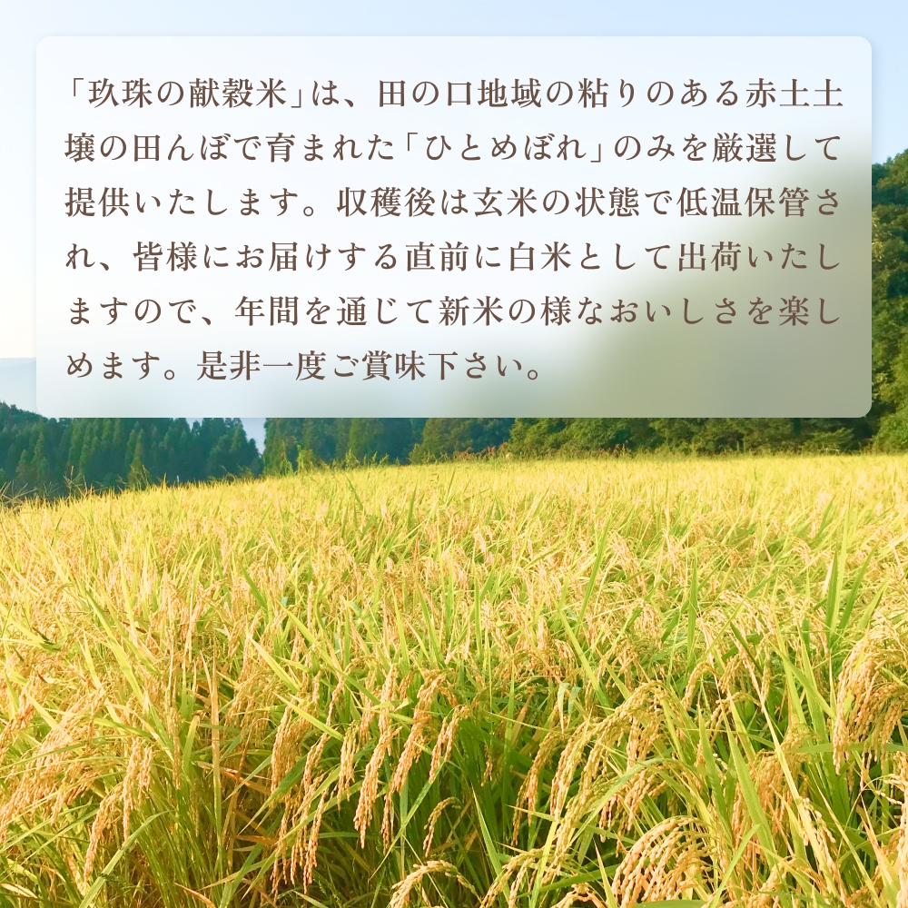 【令和8年度産ひとめぼれ】玖珠の献穀米 5kg 米 ひとめぼれ 大分県 玖珠町 こめ お米 白米 新米 ヒトメボレ ご飯 ごはん ライス 主食