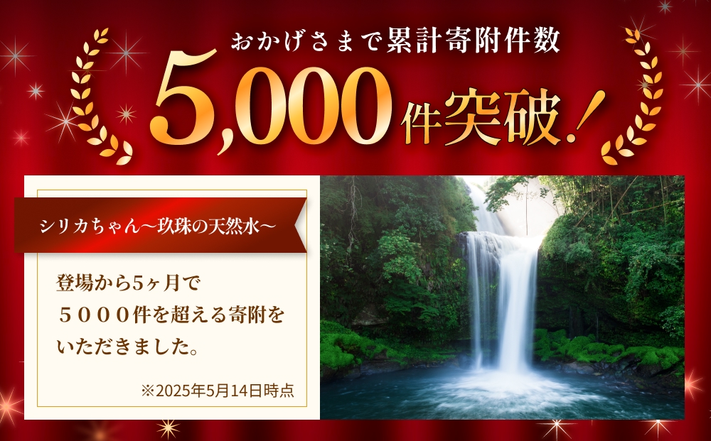 【3ヶ月定期便】天然水 シリカ 525ml × 40本 ＜シリカちゃん〜玖珠の天然水〜＞    水 水 500ml 500ml 天然水 天然水 ラベルレス 天然シリカ 水 シリカ水 ミネラルウォーター 国産 保存可能 水 防災 備蓄 シリカ水 シリカ水 SDGs