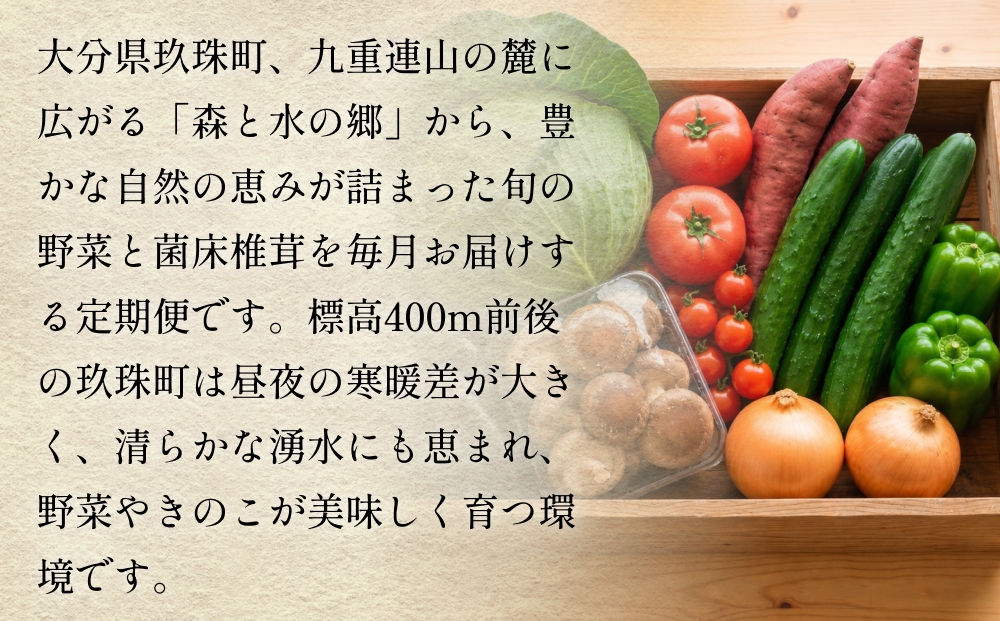 【ふるさと納税】3回定期便　玖珠の 旬野菜 ・ きのこ 6-10品 詰め合わせ  ｜ 大分県玖珠町 野菜 きのこ 旬 定期便 冷蔵 産地直送 新鮮 お取り寄せ