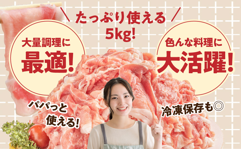 「前田さん家のスウィートポーク」切り落とし5kg_17-89-001-5kg
