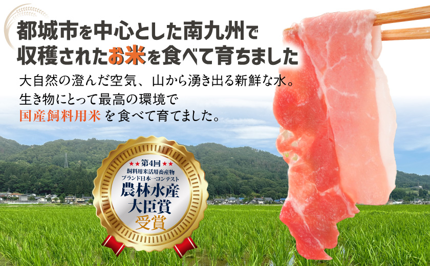 お米豚2.2kgセット≪みやこんじょ快速便≫_14-3101-R