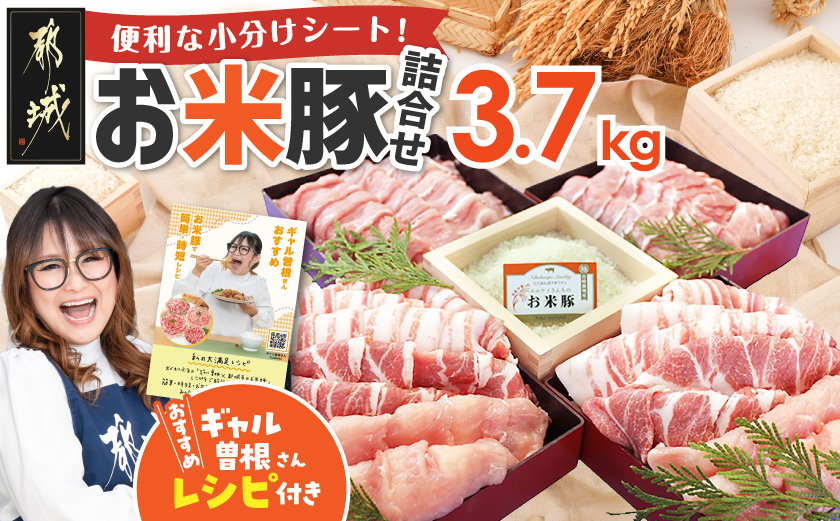 お米豚3.7kgセット_23-3101