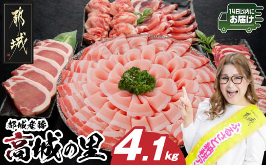 「高城の里」わくわく4.1kgセット(真空)≪みやこんじょ快速便≫_22-84-001-4100g-R