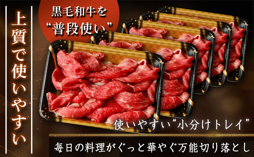 【国産黒毛和牛】切り落とし 1.5kg (300g×5P)_23-E9-005