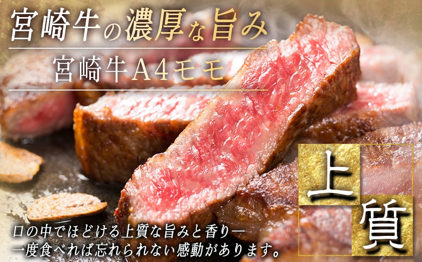 宮崎牛モモステーキ100g×8枚_25-026