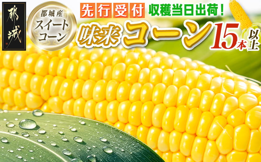 【先行受付】朝どれ!!都城産スイートコーン(味来コーン)5kg 15本以上_13-B4-001-6_(都城市) 朝どれ とうもろこし スイートコーン 5キロ 約15本以上 産地直送 みずみずしい あまい