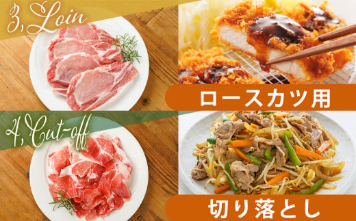 宮崎県産豚肉5kgセット_AC-M601_(都城市) ロース バラ 切り落とし ミンチ すき焼き とんかつ 焼肉 炒め物 ハンバーグ