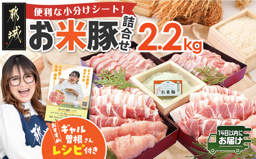 お米豚2.2kgセット≪みやこんじょ快速便≫_14-3101-R