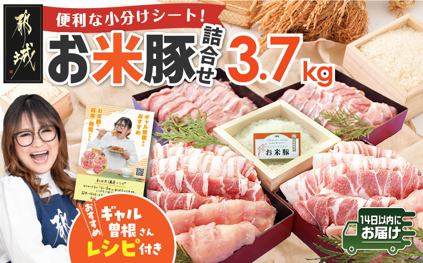 お米豚3.7kgセット≪みやこんじょ快速便≫_23-3101-R_(都城市) 豚肉 豚ロース 豚こま切れ 豚バラ肉 豚肩ロース ブランド豚 小分け シート仕切り スライス肉 14日以内にお届け  ギャル曽根さんおすすめの豚肉返礼品