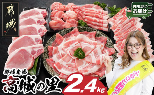 「高城の里」わくわく2.4kgセット(真空)≪みやこんじょ快速便≫_16-84-001-2400g-R