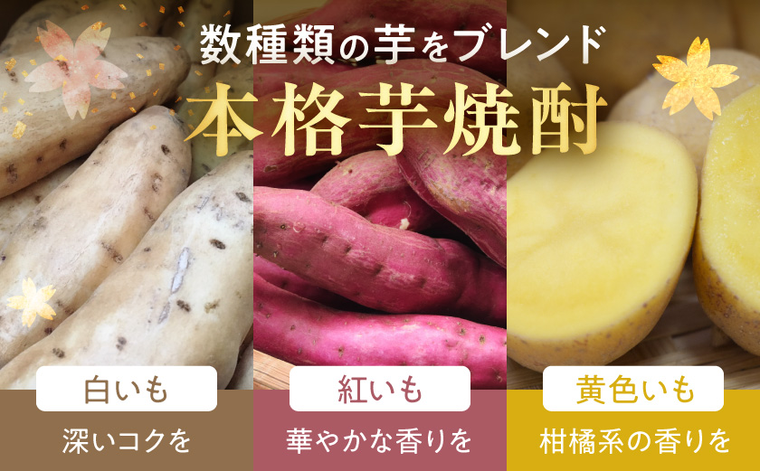 【大浦酒造】みやこざくら(20度)1.8L×2本 ≪みやこんじょ特急便≫_MJ-0771